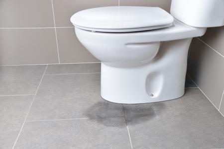 The Benefits Of Hiring Professionals For Your Next Toilet Replacement Thumbnail